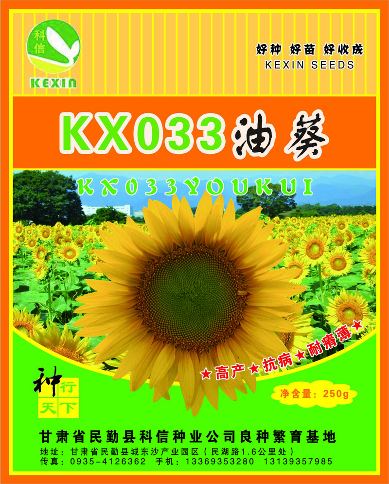 KX033油葵